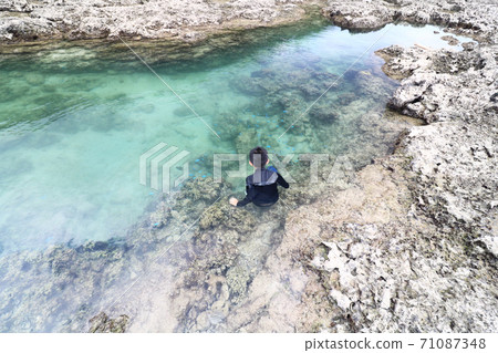 Boy playing with Ino Boy playing with Ino 71087348