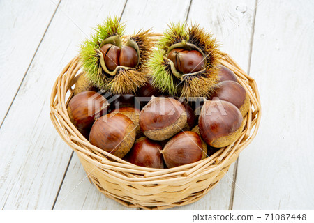 Chestnut and pine cones 71087448