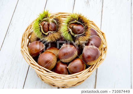 板栗和松果 71087449