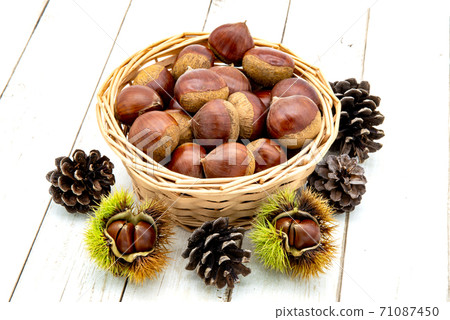 板栗和松果 71087450