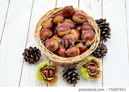 板栗和松果 71087451