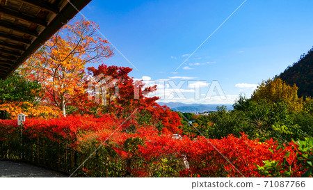 藍天,白雲,山脈和楓樹圖案 藍天,白雲,山脈和楓樹圖案 71087766
