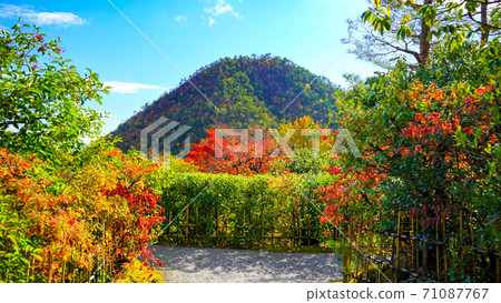 楓樹為藍藍的天空,山脈和竹牆著色 楓樹為藍藍的天空,山脈和竹牆著色 71087767