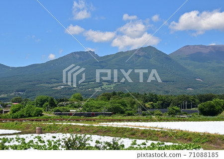 Fresh green Mt. Asama and highland vegetable fields seen from Miyota Town 71088185