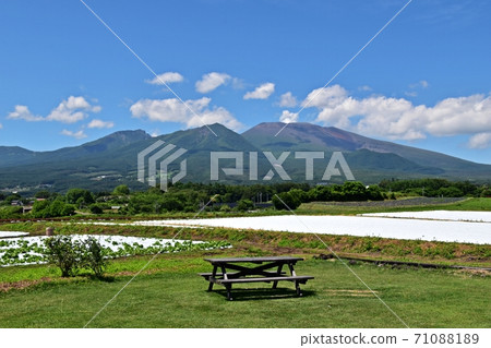 從宮田町看到的新鮮綠色淺間山和高原蔬菜田 從宮田町看到的新鮮綠色淺間山和高原蔬菜田 71088189