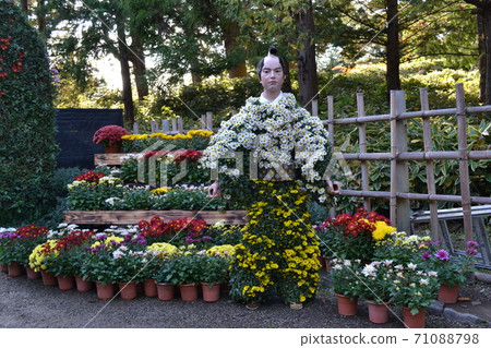 Hirosaki Castle Chrysanthemum and Chrysanthemum Doll of Autumn Leaves Festival, which was canceled just before Hirosaki Castle Chrysanthemum and Chrysanthemum Doll of Autumn Leaves Festival, which was canceled just before 71088798