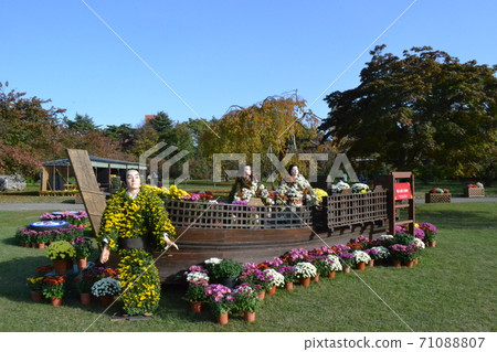 Hirosaki Castle Chrysanthemum and Chrysanthemum Doll of Autumn Leaves Festival, which was canceled just before Hirosaki Castle Chrysanthemum and Chrysanthemum Doll of Autumn Leaves Festival, which was canceled just before 71088807