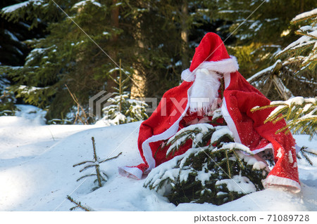 The Santa Claus costume with beards hangs on the spruce in the winter forest. The Santa Claus costume with beards hangs on the spruce in the winter forest. 71089728