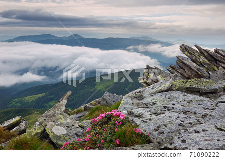 Summer landscape in mountains with the sun. Summer landscape in mountains with the sun. 71090222