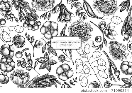 Floral design with black and white ficus, eucalyptus, peony, cotton, freesia, brunia Floral design with black and white ficus, eucalyptus, peony, cotton, freesia, brunia 71090254