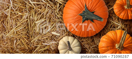 Hay Stack Background 71090287
