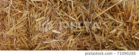 Hay Stack Background Hay Stack Background 71090288