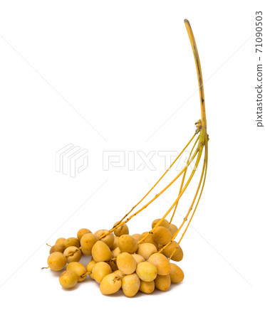 Fresh date palm isolated on white Fresh date palm isolated on white 71090503