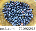 Haskap & blueberries 71092298