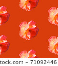 Seamless pattern with roses on a orange background 71092446