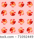 Seamless pattern with roses on a pink background. 71092449