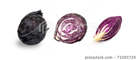 Whole and cut red or purple cabbage set isolated 71093729