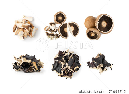 Portobello mushroom, portabella or portobella isolated on white Portobello mushroom, portabella or portobella isolated on white 71093742
