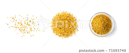 Bee Pollen, Perga, Flower Pollen Grains or Bee Bread Bee Pollen, Perga, Flower Pollen Grains or Bee Bread 71093749