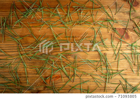 Pine needles texture background, natural needles pattern 71093805