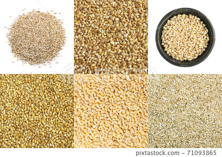 Pearl Barley Grains Food Collage, Various Pearl Barley Collection 71093865