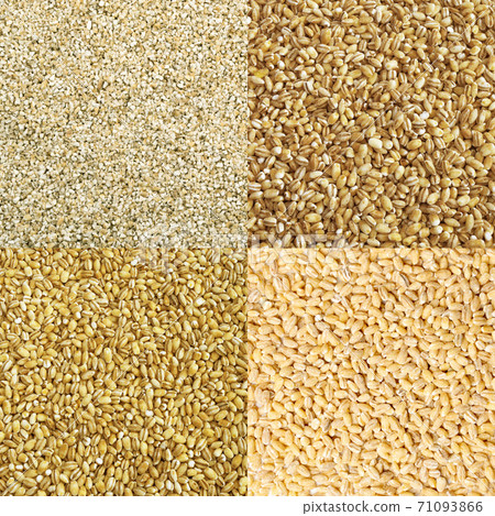 Pearl Barley Grains Food Collage, Various Pearl Barley Collection 71093866