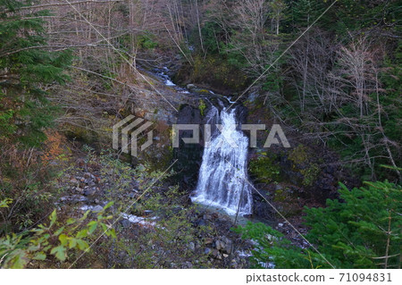 泥濘的河溫泉的秋葉和Shiraito瀑布 71094831