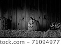 Pumpkins halloween decoration 71094977