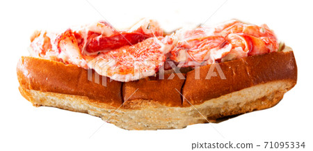 Fresh Maine Lobser Roll Isolated 71095334