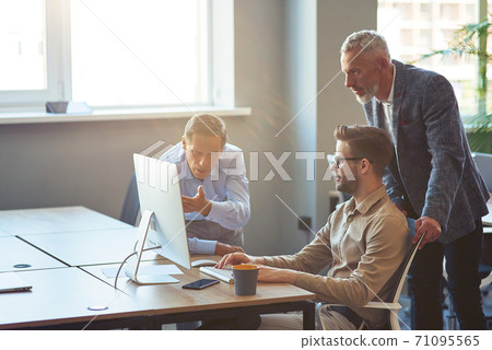 Three male coworkers looking at PC screen and discussing project, business people working together in coworking space Three male coworkers looking at PC screen and discussing project, business people working together in coworking space 71095565