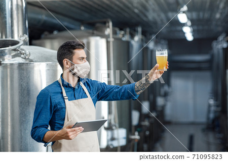 Brewery factory owner in apron and protective mask examining quality of beer Brewery factory owner in apron and protective mask examining quality of beer 71095823