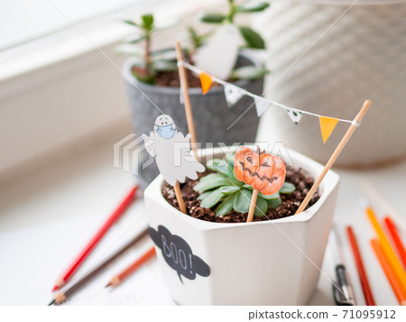 Hand drawn Halloween 2020 decorations in flower pots with crassula succulent plants. Ghost in medical protective mask and pumpkins in flower pot. Cozy home. 71095912