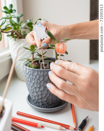 Woman decorates flower pots with handmade decorations for Halloween. Painted ghost in medical protective mask and pumpkin in flower pot with succulent plant. 71095913