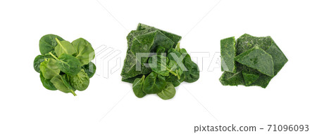 Frozen Spinach Set Isolated on White Background Frozen Spinach Set Isolated on White Background 71096093
