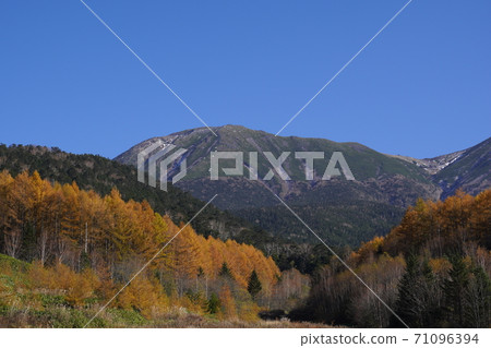 View of Mt. Mitake from the ruins of the Nigorigo Onsen ski resort in autumn colors 71096394