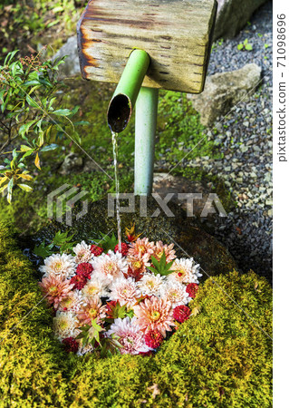 福島縣日本松市市花水清(Kikutemizu) 福島縣日本松市市花水清(Kikutemizu) 71098696