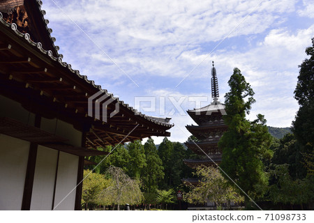 Daigoji Temple Five-storied pagoda seen from Kiyotakiden Daigoji Temple Five-storied pagoda seen from Kiyotakiden 71098733