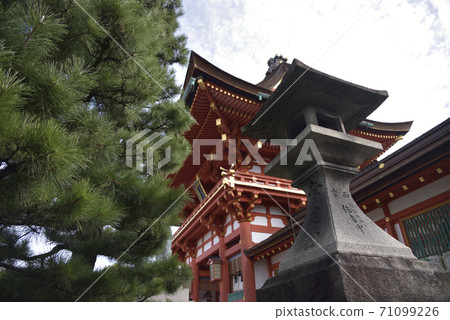 Fushimi Inari Tower Gate, Lanterns and Pine Fushimi Inari Tower Gate, Lanterns and Pine 71099226