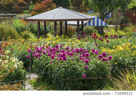 山形縣川西町大花iya 山形縣川西町大花iya 71099331