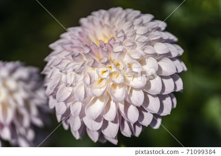 山形縣川西町大花iya 71099384