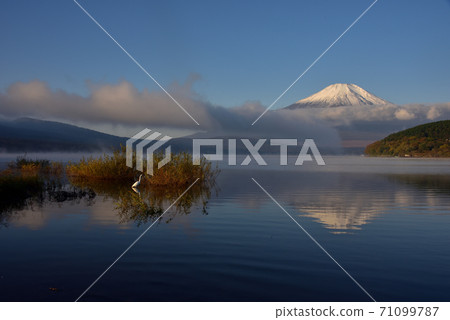 Egret and Mt. Fuji 71099787