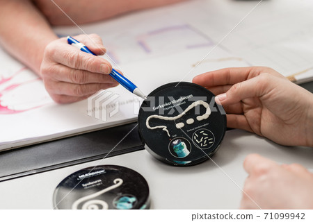 Veterinarian giving guidance regarding tapeworm disease to pet owner Veterinarian giving guidance regarding tapeworm disease to pet owner 71099942