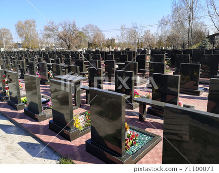 Rows of cemetery monuments in black at the cemetery Rows of cemetery monuments in black at the cemetery 71100071
