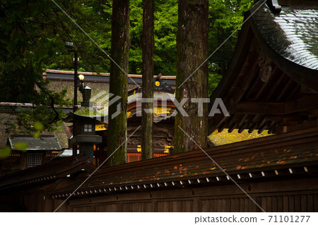 Suwa Taisha Upper Shrine Hongu Rainy weather Suwa Taisha Upper Shrine Hongu Rainy weather 71101277