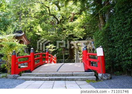 天黑本澤滕 天黑本澤滕 71101746