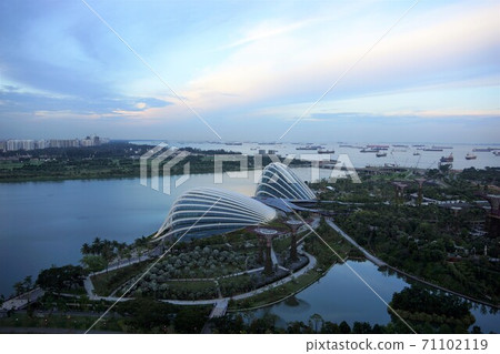 從濱海灣金沙酒店的房間看濱海灣花園 從濱海灣金沙酒店的房間看濱海灣花園 71102119