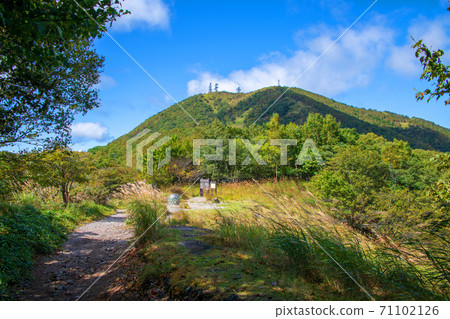 Prefectural Akagi Park, near Onuma Parking Lot, towards Jizodake, Kanto Fureai Road, early autumn scenery 71102126