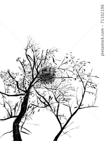 Illustration of mistletoe like a shadow picture Illustration of mistletoe like a shadow picture 71102198