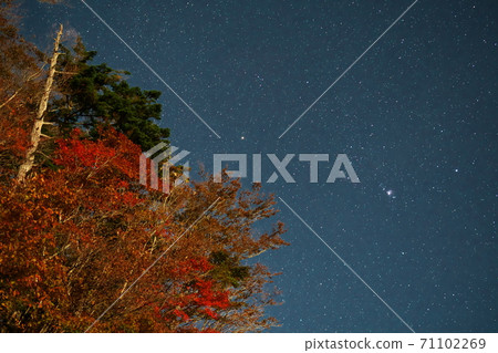 Odaigahara, autumn leaves illuminated by the moon and Orion, Kamikitayama Village, Nara Prefecture Odaigahara, autumn leaves illuminated by the moon and Orion, Kamikitayama Village, Nara Prefecture 71102269
