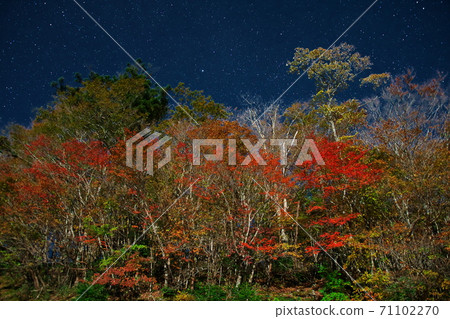 Odaigahara, autumn leaves and starry sky illuminated by the moon, Kamikitayama Village, Nara Prefecture Odaigahara, autumn leaves and starry sky illuminated by the moon, Kamikitayama Village, Nara Prefecture 71102270